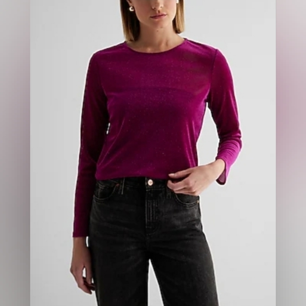 Express Women's Sheer Shine Crew Neck Long Sleeve Tee, Wild Orchid, XS